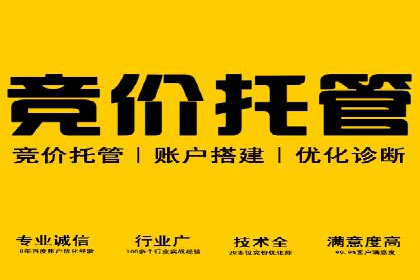sem代运营公司成功案例：提升网站流量与转化率